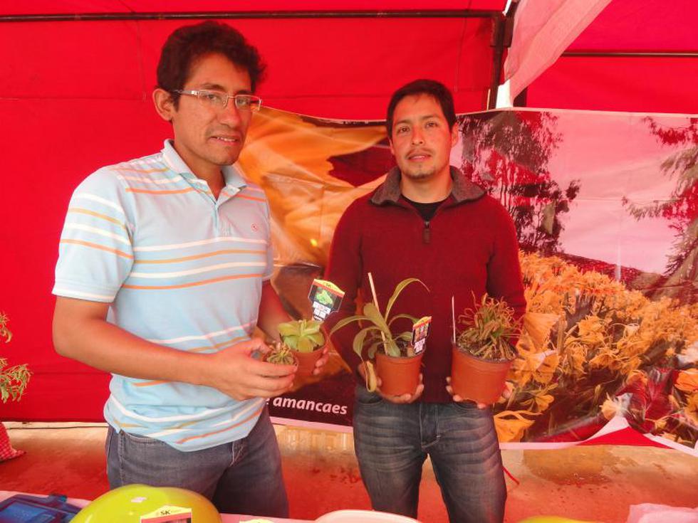 Productores de plantas carnivoras "rayan" en feria 
