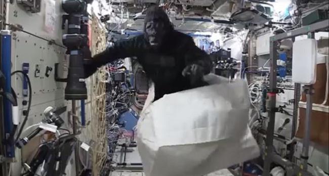 ​¿Un gorila en el espacio? imágenes difundidas por astronauta se vuelve viral