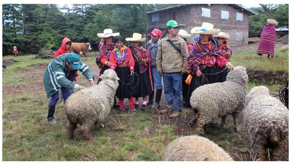 Comunidades quechua hablantes mejorarán producción con Buenas Prácticas Ganaderas