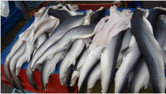 Tres de cuatro peruanos consumen tiburón sin saberlo
