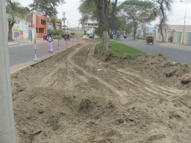 Destruyen 300 metros de césped y 25 metros de sardinel en plena avenida Grau