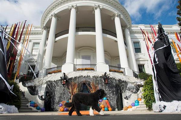 Hallowen: ​La Casa Blanca se disfraza de bosque encantado 