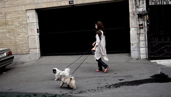 ​Irán: Tener perros sería castigado con latigazos