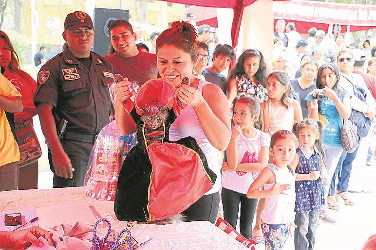 Disfraces de mascotas en el aniversario de Piura (VIDEO)