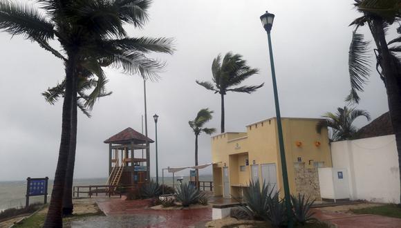 Las palmeras se mueven con el viento antes de que el huracán Agatha toque tierra en Huatulco, estado de Oaxaca, México, el 30 de mayo de 2022.  (Foto: Gil OBED / AFP)