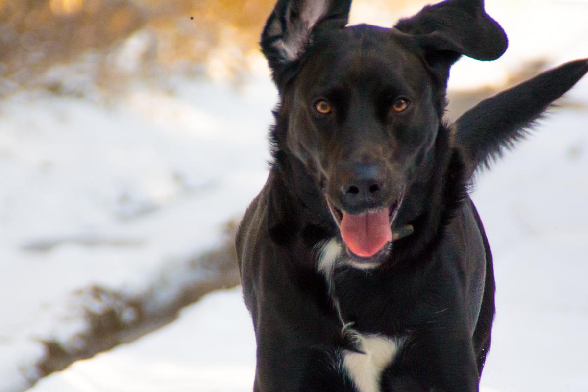 Foto: Pixabay/Referencial