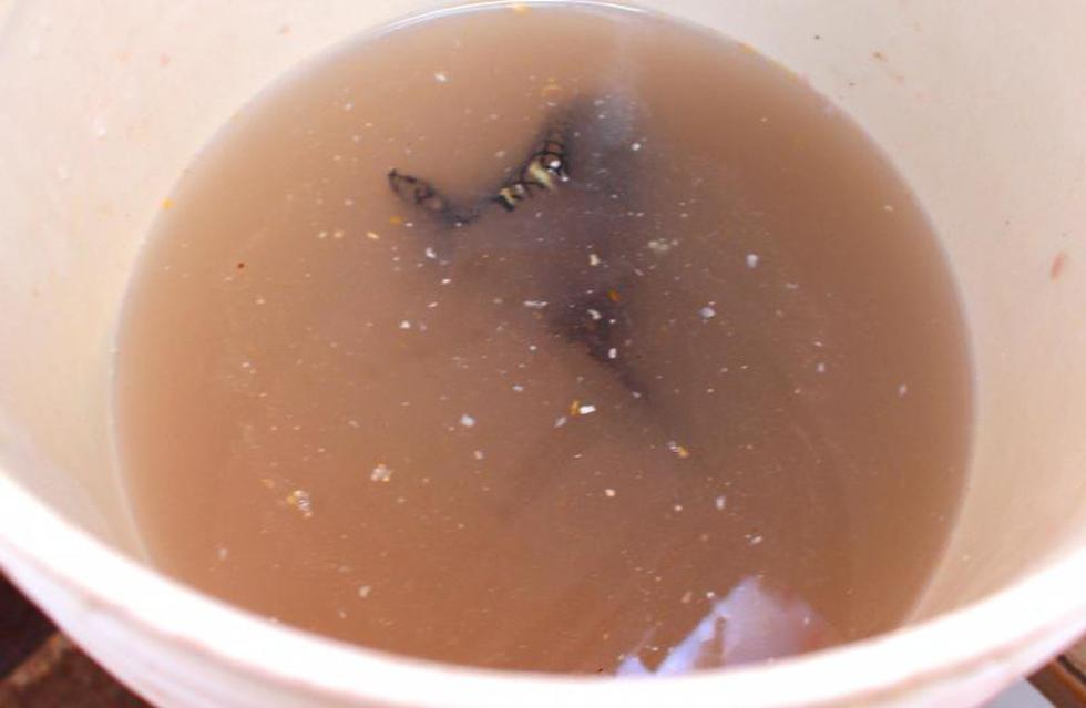 Comerciantes reutilizan agua para lavar platos (FOTOS)