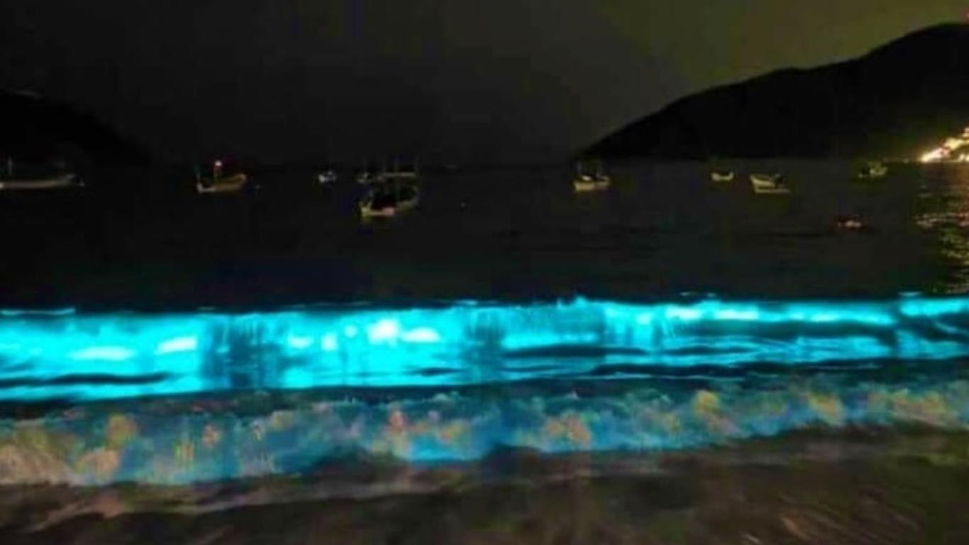 Playa de Acapulco sorprende con asombroso fenómeno durante cuarentena. (Foto: Twitter @Didetzisotelo)