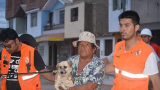 La Libertad: Damnificados por desborde del río Moche jamás dejaron atrás a sus mascotas  