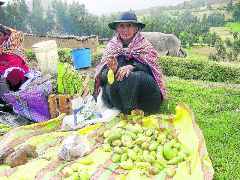 Ancalayo prepara mazamorra y hasta cebiche de tumbo 