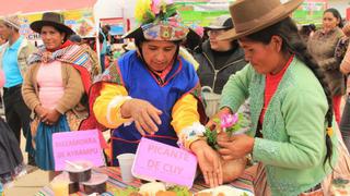 Productores exponen y venden en feria “Haku Wiñay”