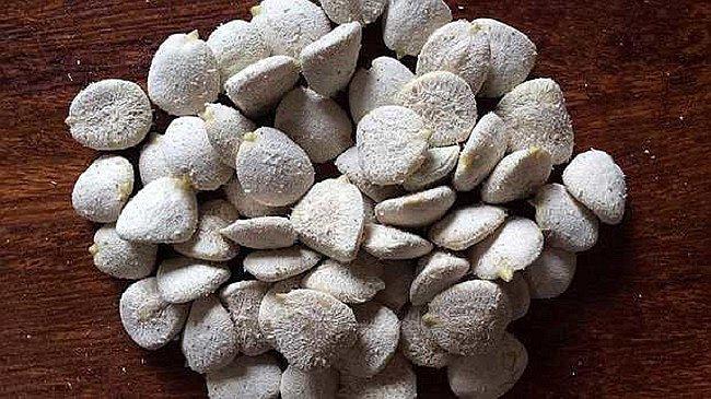 ​Brasil prohíbe la nuez de la India tras asociar su consumo con tres muertes