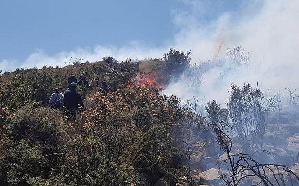 Incendio llegó al Bosque de los Queñuales en el volcán Pichu Pichu (FOTOS)