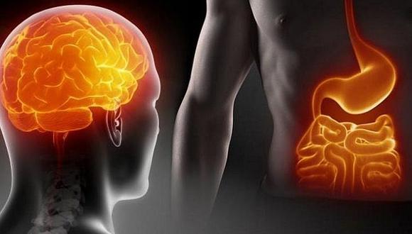 El denominado 'segundo cerebro' se ubica en nuestro estómago, revela un estudio