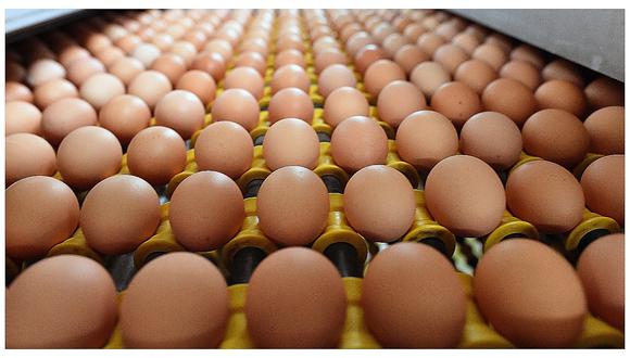 ​Consumo de huevo no está relacionado con enfermedades cardiovasculares