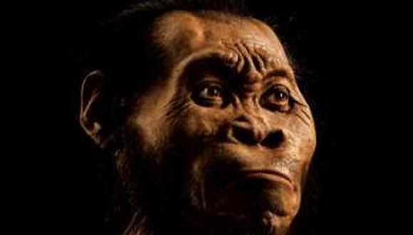 Sudáfrica: Descubren una antigua especie del género humano