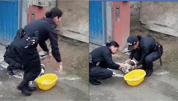 Policías salva vida de una mascota que fue envenenada en Collique (VIDEO)