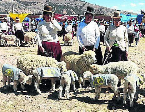 Huancané: concluye feria agroindustrial, ganadera y artesanal 