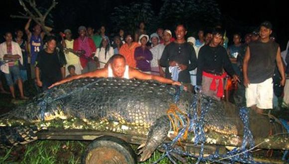 Murió el cocodrilo más grande del mundo