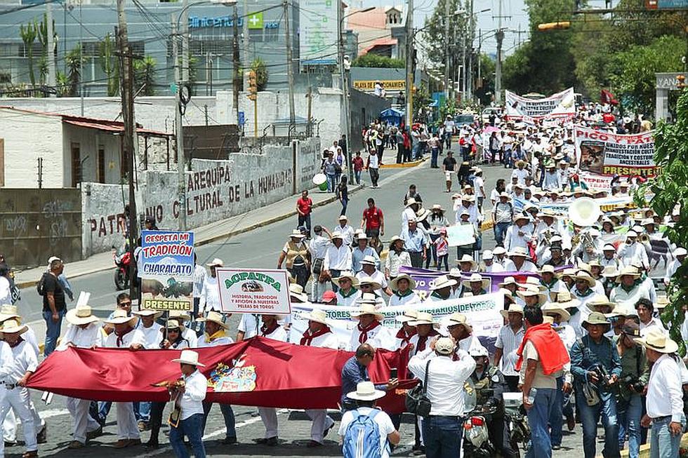 Criadores de Gallos y de Toros piden que se respeten las tradiciones (FOTOS y VIDEO)