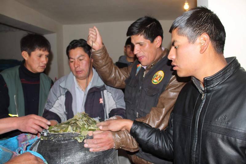 Divcoteandro decomisa 53 kilos de hoja de coca