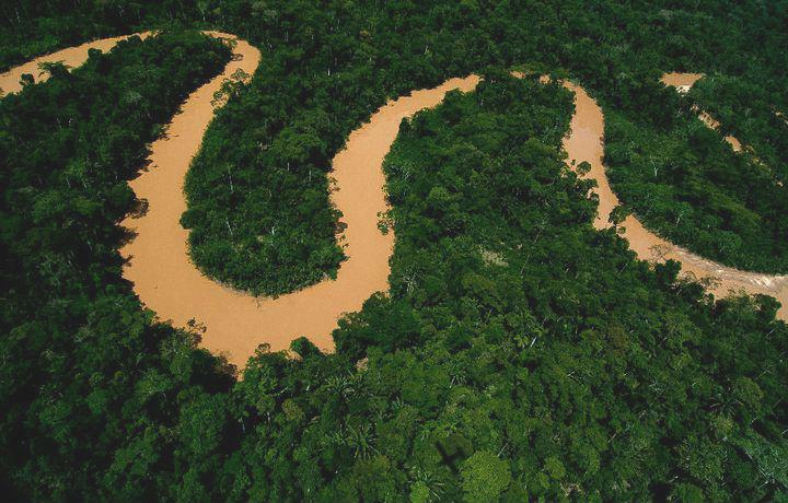 Los humanos vivieron en la selva tropical mucho antes de lo que se creía