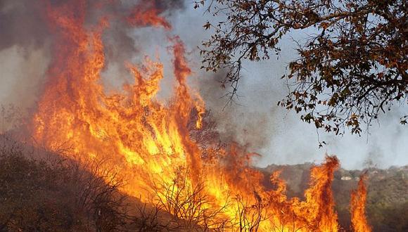 Voraz incendio deja al menos 25 muertos en California 