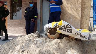 Encuentran un cráneo de menor durante excavación en la provincia de Pisco