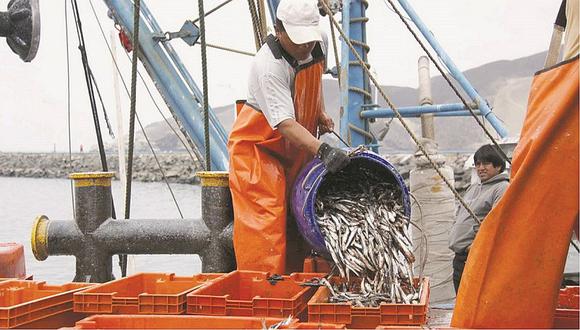 Chimbote: Seis puertos y los motoristas piden parar la pesca  