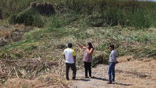 Arequipa: Inescrupulosos destruyen laguna natural de Camaná para ganar terreno y sembrar