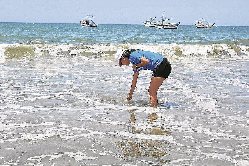Piura: Solo dos playas en Sechura son saludables