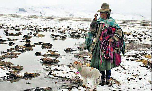 Defensoría del Pueblo supervisará ayuda entregada en zonas azotadas por el frío (VIDEO)