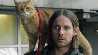 “Bob: El Gato Navideño”: Película se estrena este 1 de diciembre y aquí puedes ver el tráiler (VIDEO)
