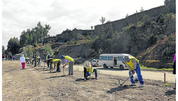 Reos con libertad condicional plantan 1500 árboles en El Tambo