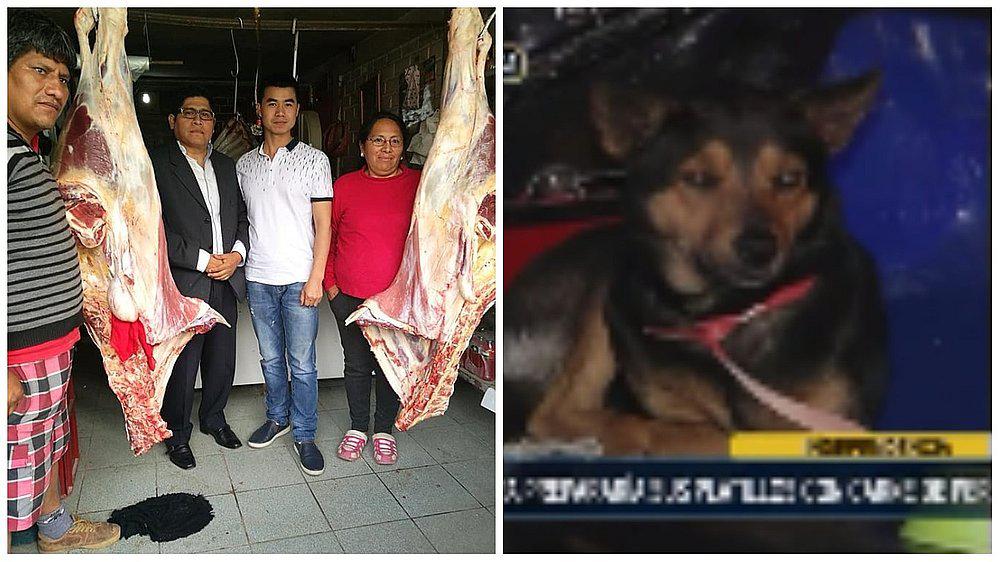 Examen reveló que chifa de Independencia usó carne de res y no de perro (VIDEO)