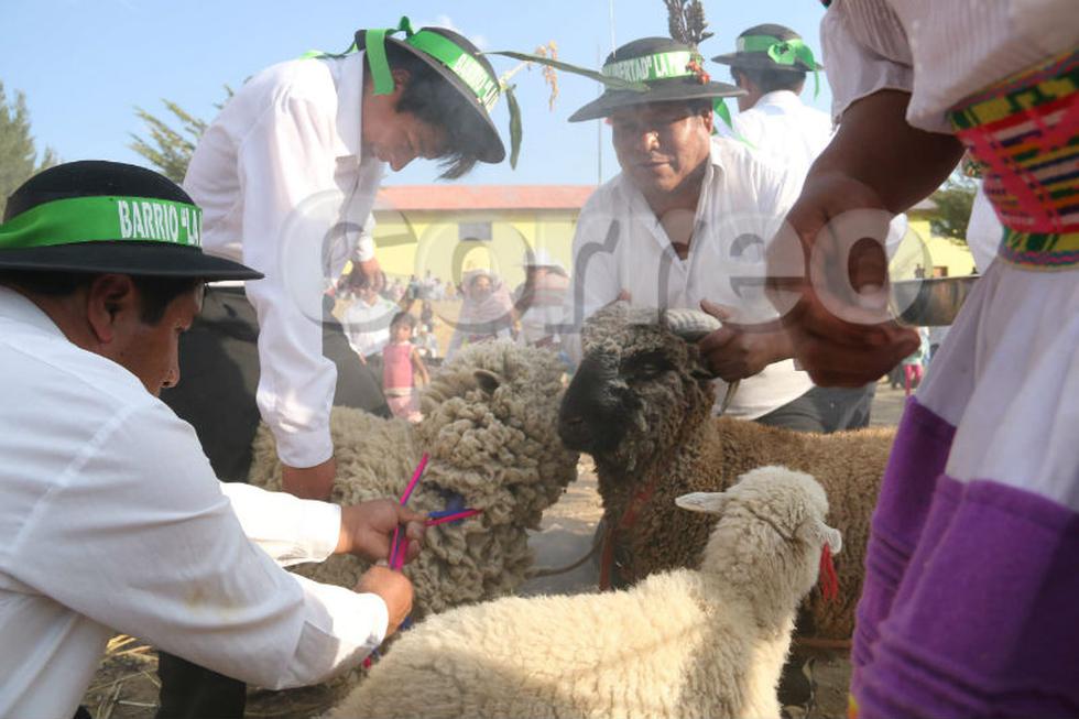 Así celebran humanos y animales en fiesta de Santiago (FOTOS)