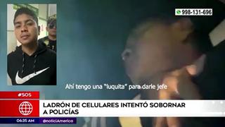 Robó celular, fue capturado e intentó sobornar a policías: “Tengo una luquita para darle jefe”