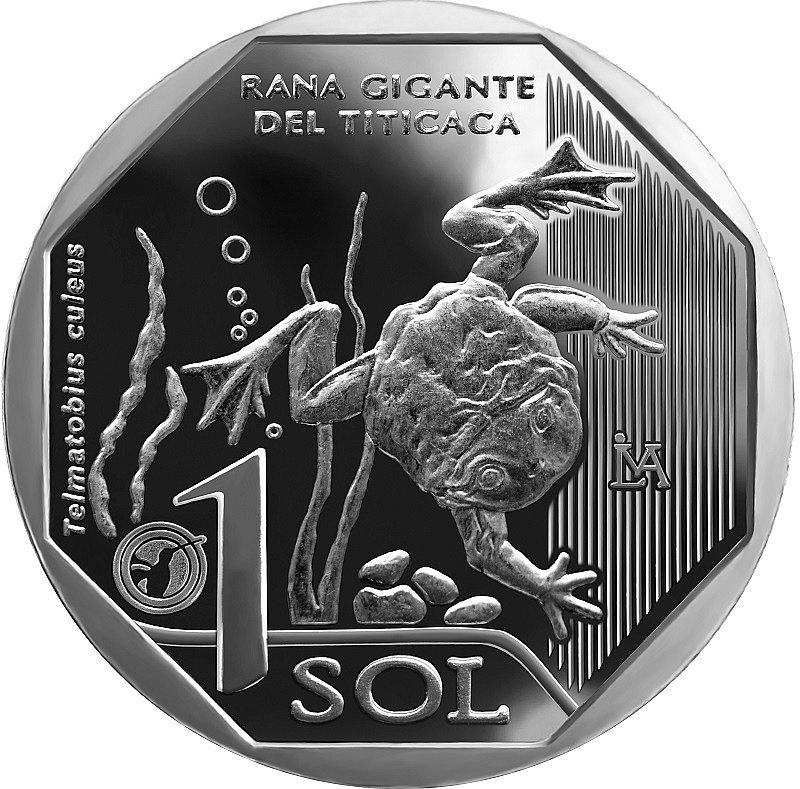 BCR acuña moneda de S/1 alusiva a la rana gigante del Titicaca