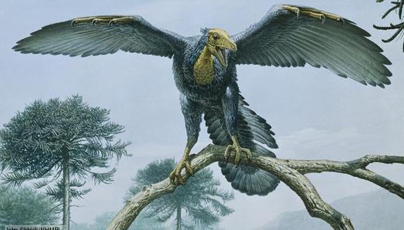 Científico propone invertir evolución de aves para crear dinosaurios