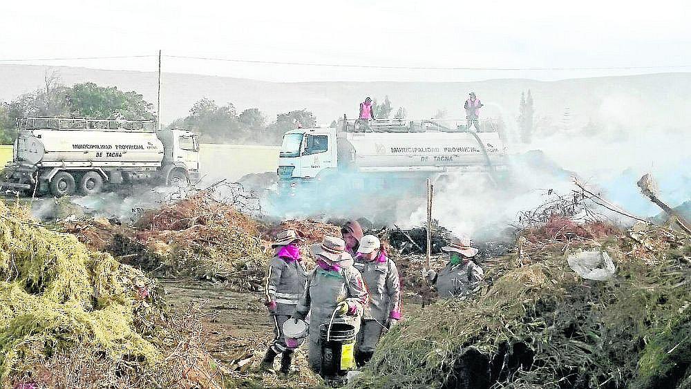 Tacna: Incendio en depósito de plantaciones genera alarma en personal de la MPT