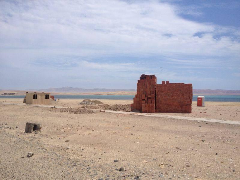 Sernanp: Licencias para construcción de viviendas en reserva de Paracas son ilegales