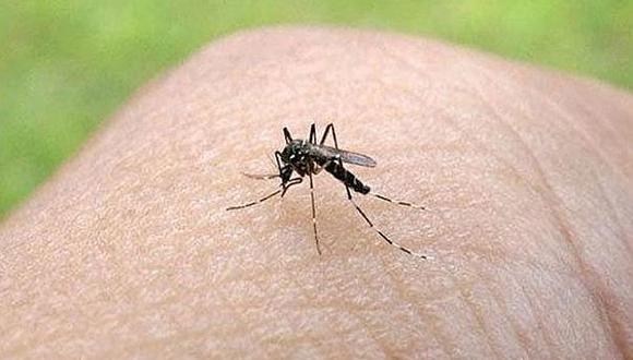 Nuevo mosquito prefiere sangre humana y vive en metro de Nueva York