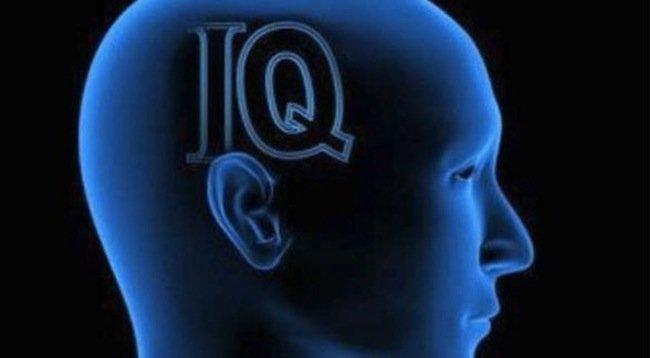 Bolivia y Ecuador superan a Perú en coeficiente intelectual 