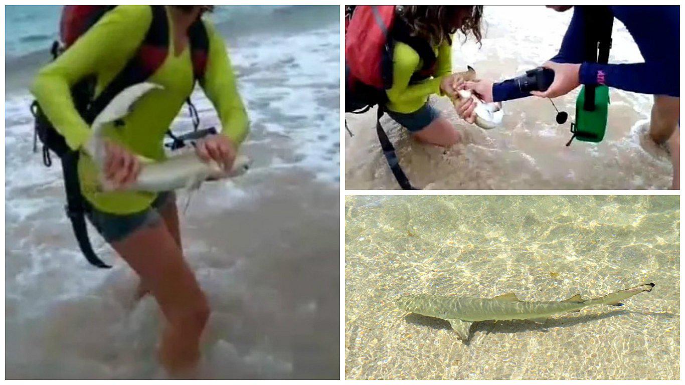 ​YouTube: quiso tomarse 'selfie' con tiburón pero recibe esta dura lección (VIDEO)