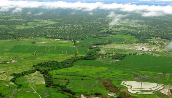 Tumbes: Los agricultores del valle de Zarumilla aseguran que son 25 los puntos críticos