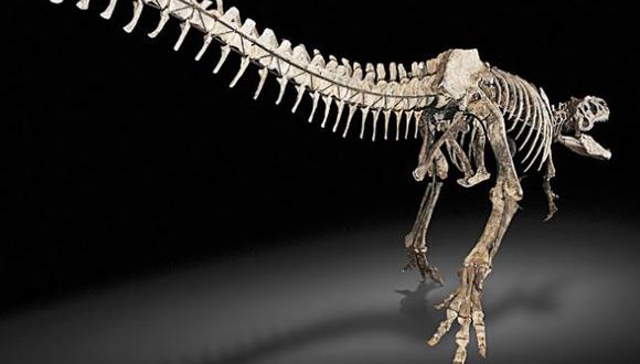 Reconstruyen armadura de último dinosaurio gigante con fósiles hallados en España