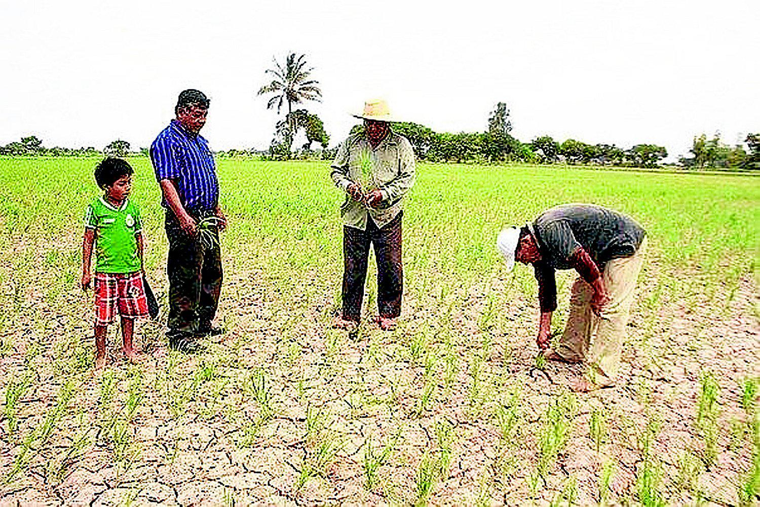 Agricultores de Paimas y Suyo suspenden siembra por falta de lluvias