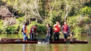 Encuentran microplásticos en peces de la Amazonía peruana, alerta Ministerio del Ambiente