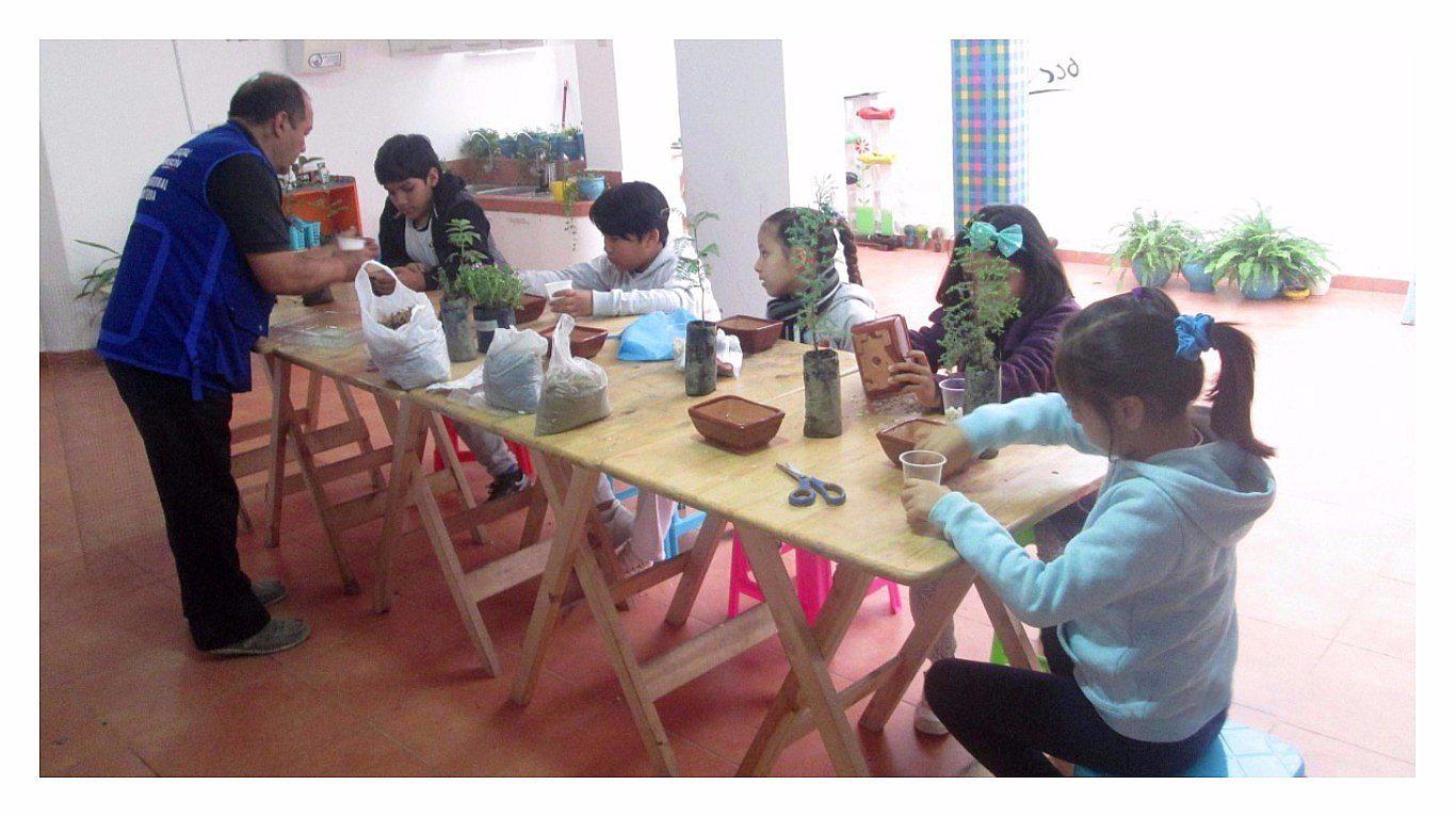 Trujillo: Escolares siembran árboles bonsái 