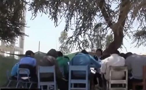 Piura: Alumnos escuchan clases debajo de un algarrobo